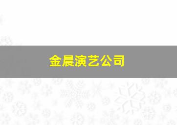 金晨演艺公司