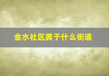 金水社区属于什么街道