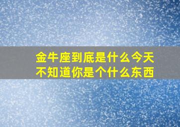 金牛座到底是什么今天不知道你是个什么东西