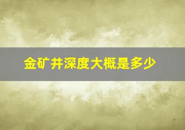 金矿井深度大概是多少