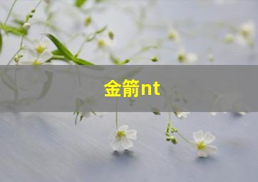 金箭nt