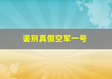 鉴别真假空军一号