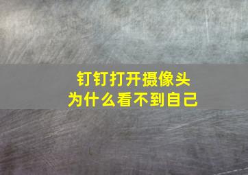 钉钉打开摄像头为什么看不到自己