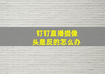 钉钉直播摄像头是反的怎么办