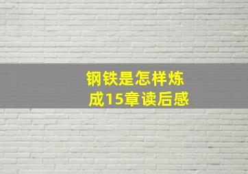 钢铁是怎样炼成15章读后感