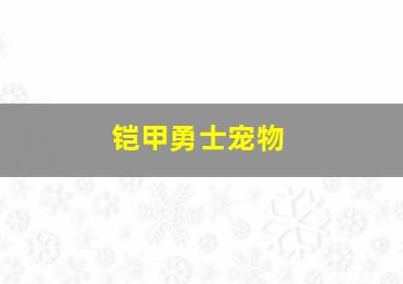 铠甲勇士宠物