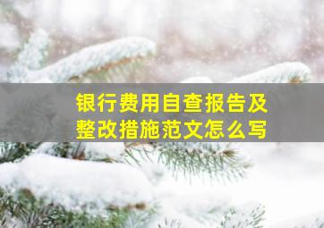 银行费用自查报告及整改措施范文怎么写