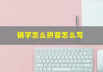 销字怎么拼音怎么写