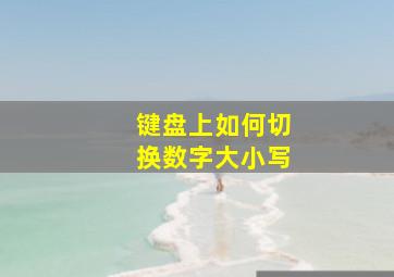 键盘上如何切换数字大小写