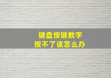 键盘按键数字按不了该怎么办