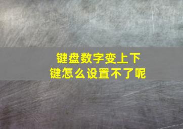 键盘数字变上下键怎么设置不了呢