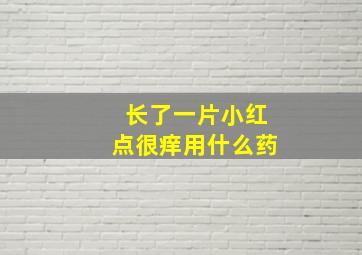 长了一片小红点很痒用什么药