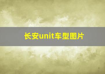 长安unit车型图片