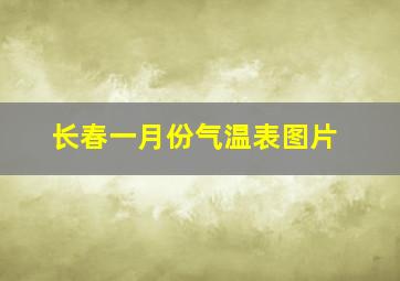 长春一月份气温表图片