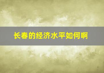 长春的经济水平如何啊