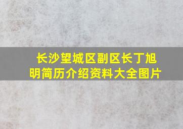 长沙望城区副区长丁旭明简历介绍资料大全图片