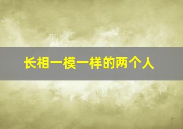 长相一模一样的两个人