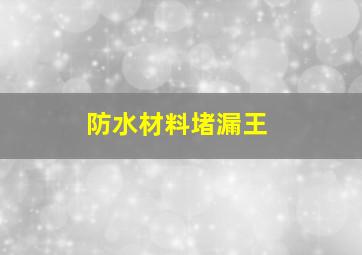 防水材料堵漏王