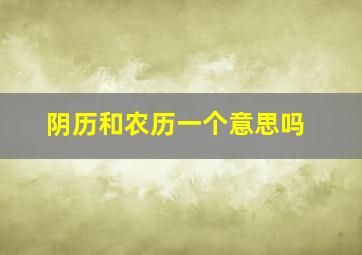 阴历和农历一个意思吗