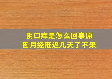 阴口痒是怎么回事原因月经推迟几天了不来