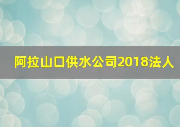 阿拉山口供水公司2018法人