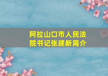 阿拉山口市人民法院书记张建新简介