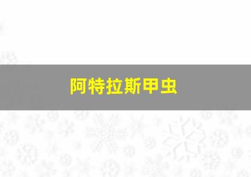 阿特拉斯甲虫