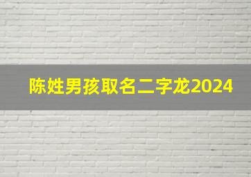 陈姓男孩取名二字龙2024