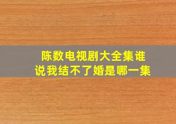 陈数电视剧大全集谁说我结不了婚是哪一集