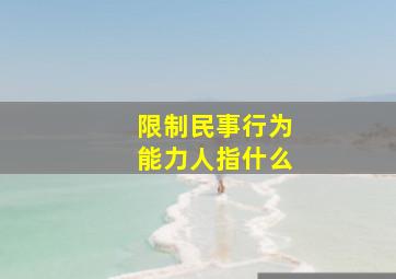 限制民事行为能力人指什么