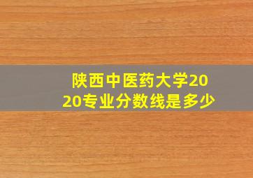 陕西中医药大学2020专业分数线是多少