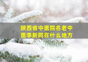 陕西省中医院名老中医李新同在什么地方