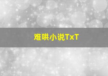 难哄小说TxT