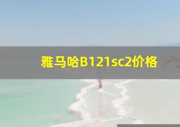 雅马哈B121sc2价格