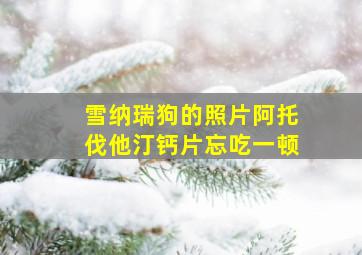 雪纳瑞狗的照片阿托伐他汀钙片忘吃一顿