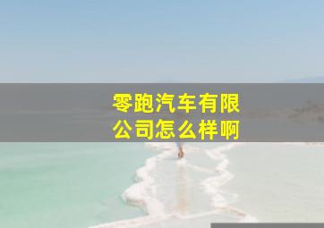 零跑汽车有限公司怎么样啊