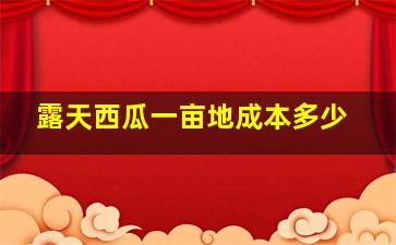 露天西瓜一亩地成本多少