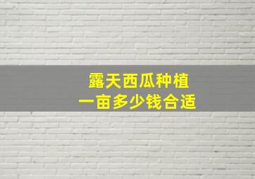 露天西瓜种植一亩多少钱合适