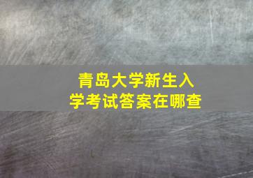 青岛大学新生入学考试答案在哪查