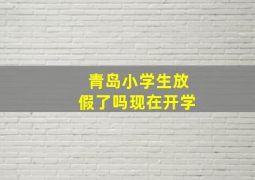 青岛小学生放假了吗现在开学