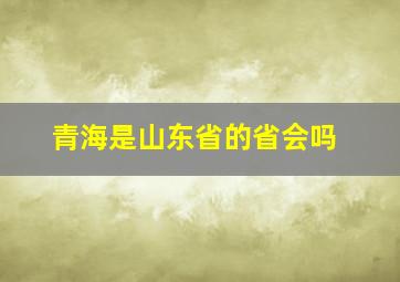 青海是山东省的省会吗