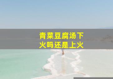 青菜豆腐汤下火吗还是上火