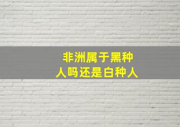 非洲属于黑种人吗还是白种人