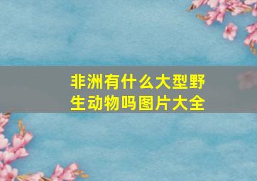 非洲有什么大型野生动物吗图片大全