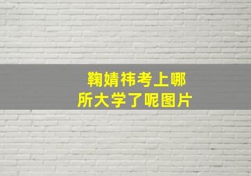 鞠婧祎考上哪所大学了呢图片