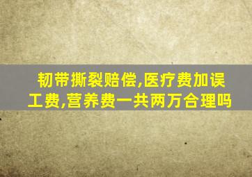 韧带撕裂赔偿,医疗费加误工费,营养费一共两万合理吗