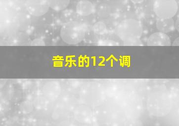 音乐的12个调