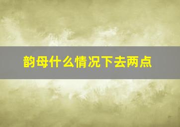 韵母什么情况下去两点