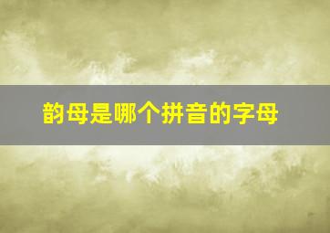 韵母是哪个拼音的字母