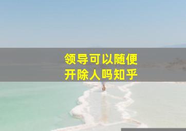 领导可以随便开除人吗知乎